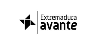 logo avante